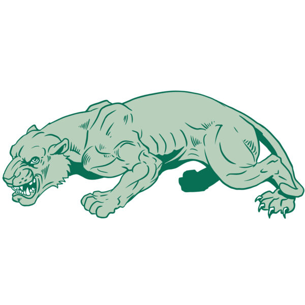 AR10 PANTHER 05 RQC Thumbnail