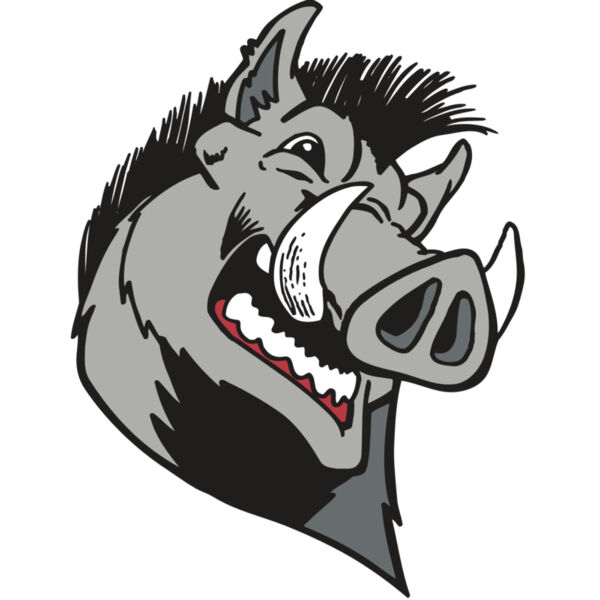 AR RAZORBACK 15 RC Thumbnail