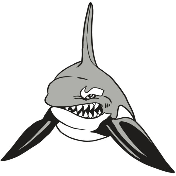 AR19 ORCA 03 RQC Thumbnail