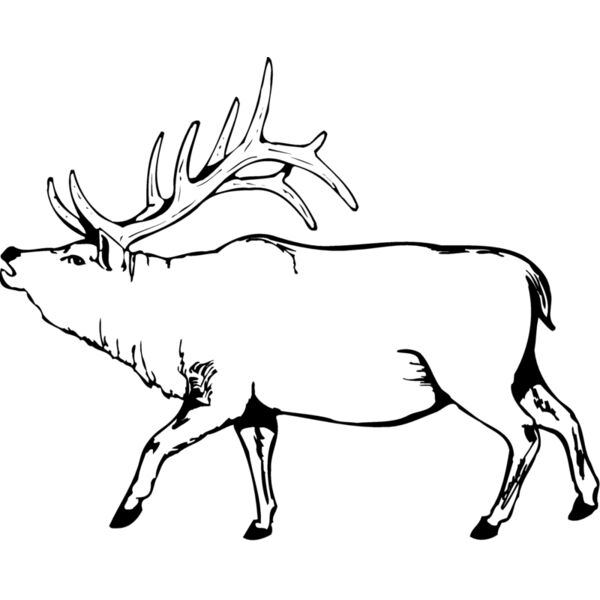 DEER004 Thumbnail
