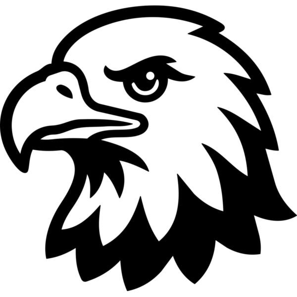 Bald Eagle Head Thumbnail