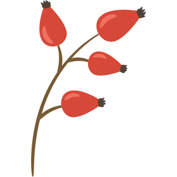 Red Fruit Thumbnail