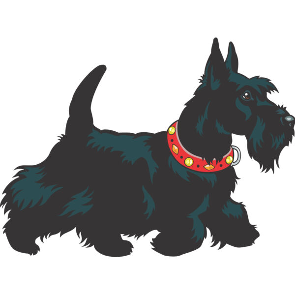 Dog 10 Thumbnail
