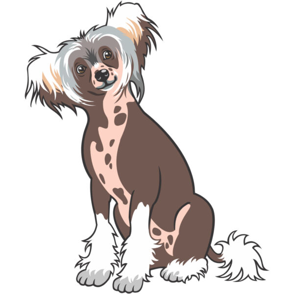 Dog 9 Thumbnail