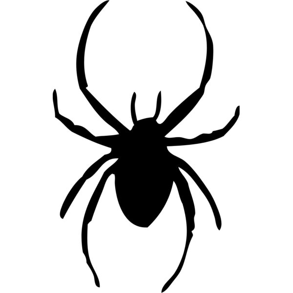 Spider Silhouette 18 Thumbnail