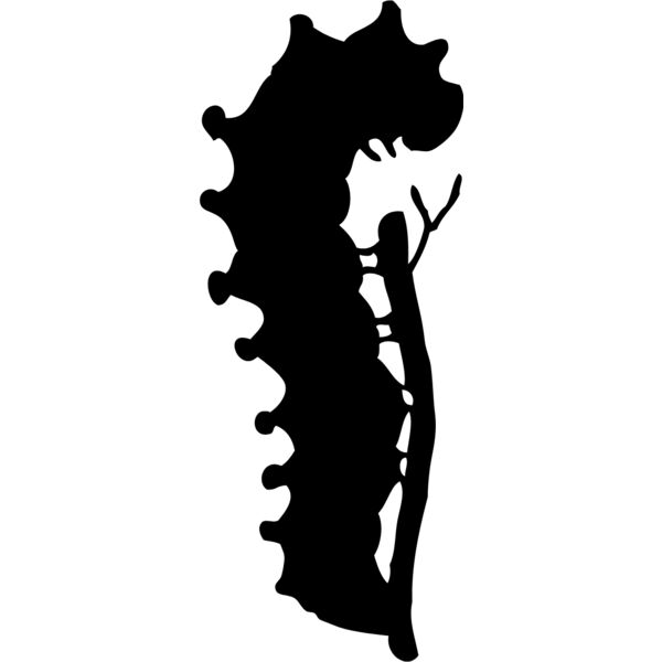 Caterpillar Silhouette 2 Thumbnail