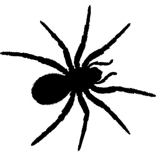 Spider Silhouette 4 Thumbnail