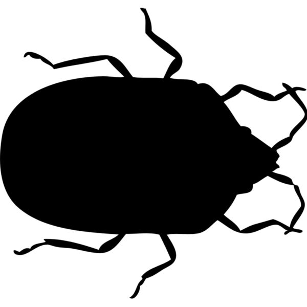 Bed Bug Silhouette 4 Thumbnail