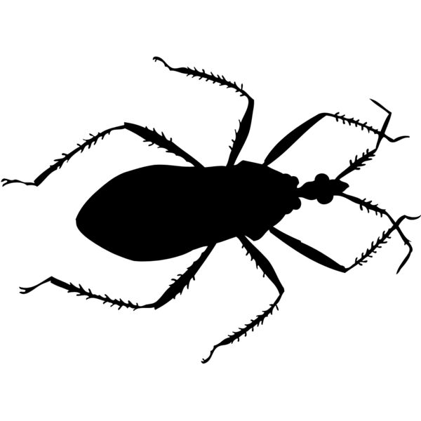 Cockroach Silhouette 4 Thumbnail