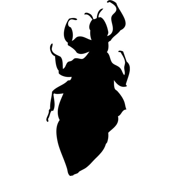 Leaf Bug Silhouette 1 Thumbnail