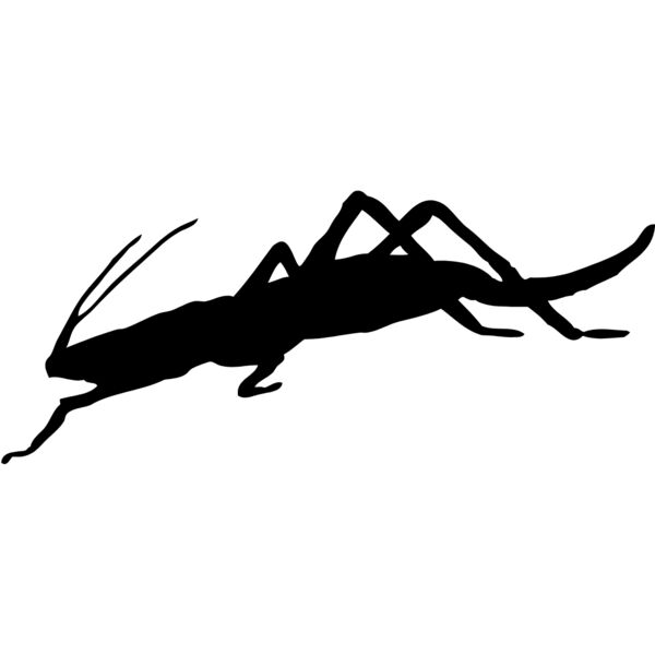 Bug Silhouette 5 Thumbnail