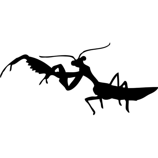 Mantis Silhouette 3 Thumbnail