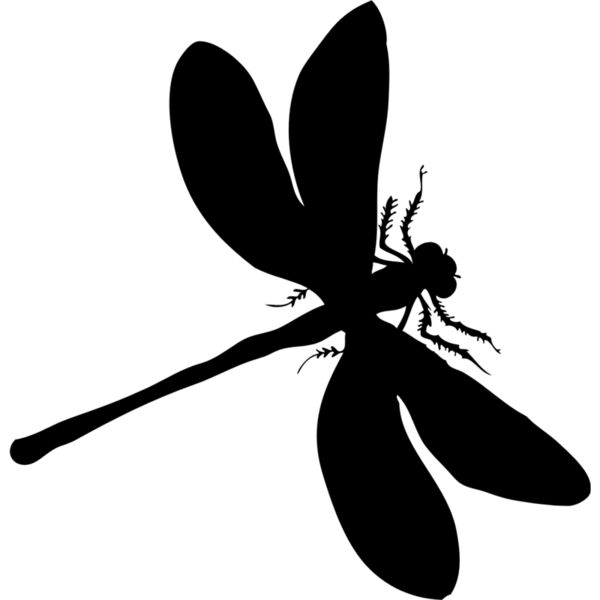 Dragonfly Silhouette 3 Thumbnail