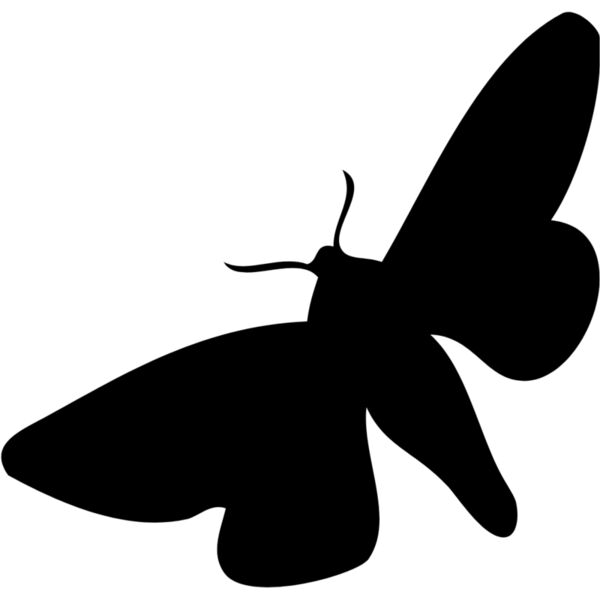 Moth Silhouette 6 Thumbnail