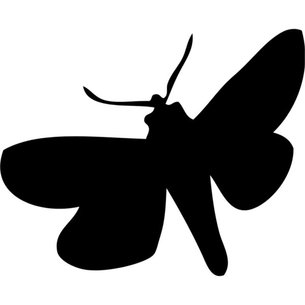 Moth Silhouette 3 Thumbnail