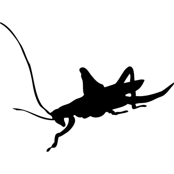 Cricket Silhouette 1 Thumbnail