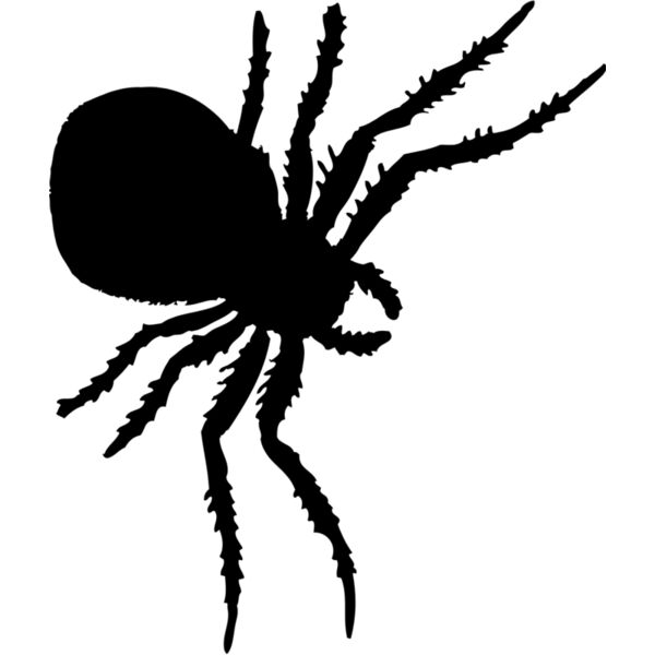 Spider Silhouette 7 Thumbnail