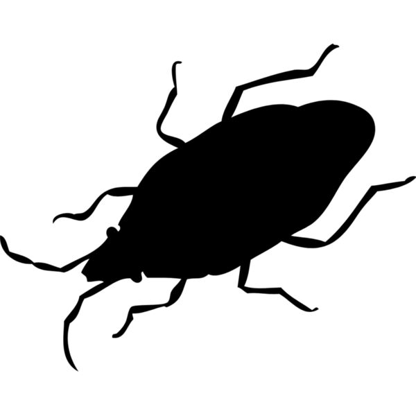 Cockroach Silhouette 8 Thumbnail
