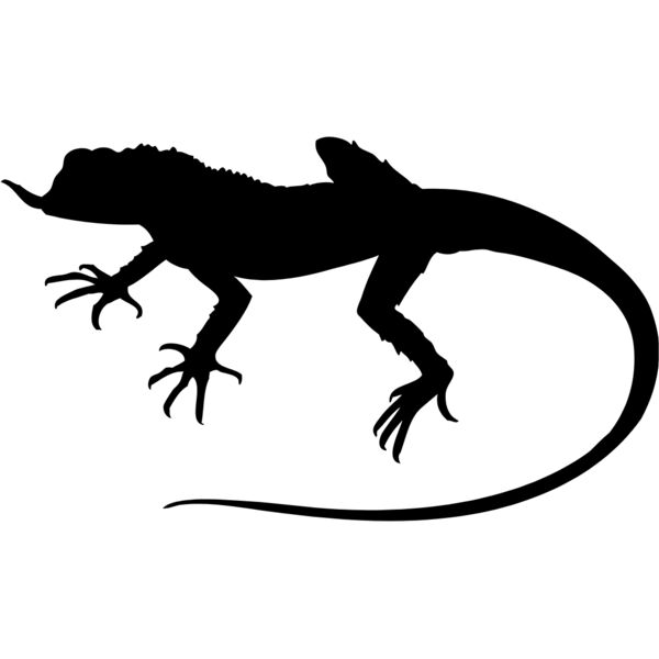 Lizard Silhouette 11 Thumbnail