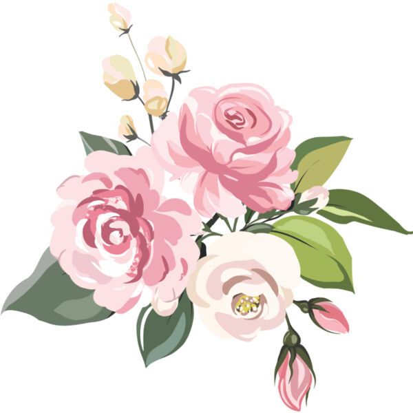 Pink Roses Flower 10 Thumbnail