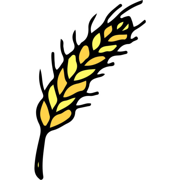 Autumn Fall Wheat Grain 1 Thumbnail