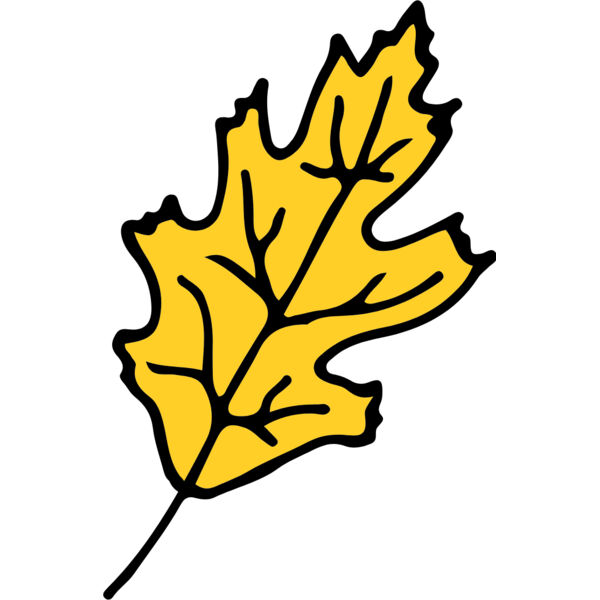 Autumn Fall Leaf 11 Thumbnail