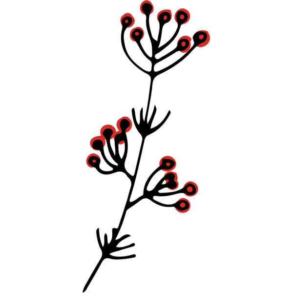 Winter Holly Berry Branch 3 Thumbnail