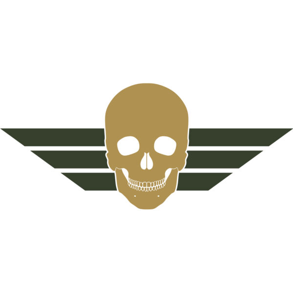 Military Skull Wings Emblem 1 Thumbnail